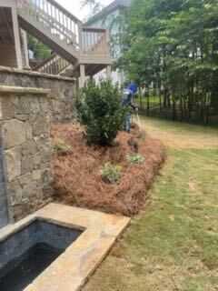 Stone wall pine needle mulch Georgia
